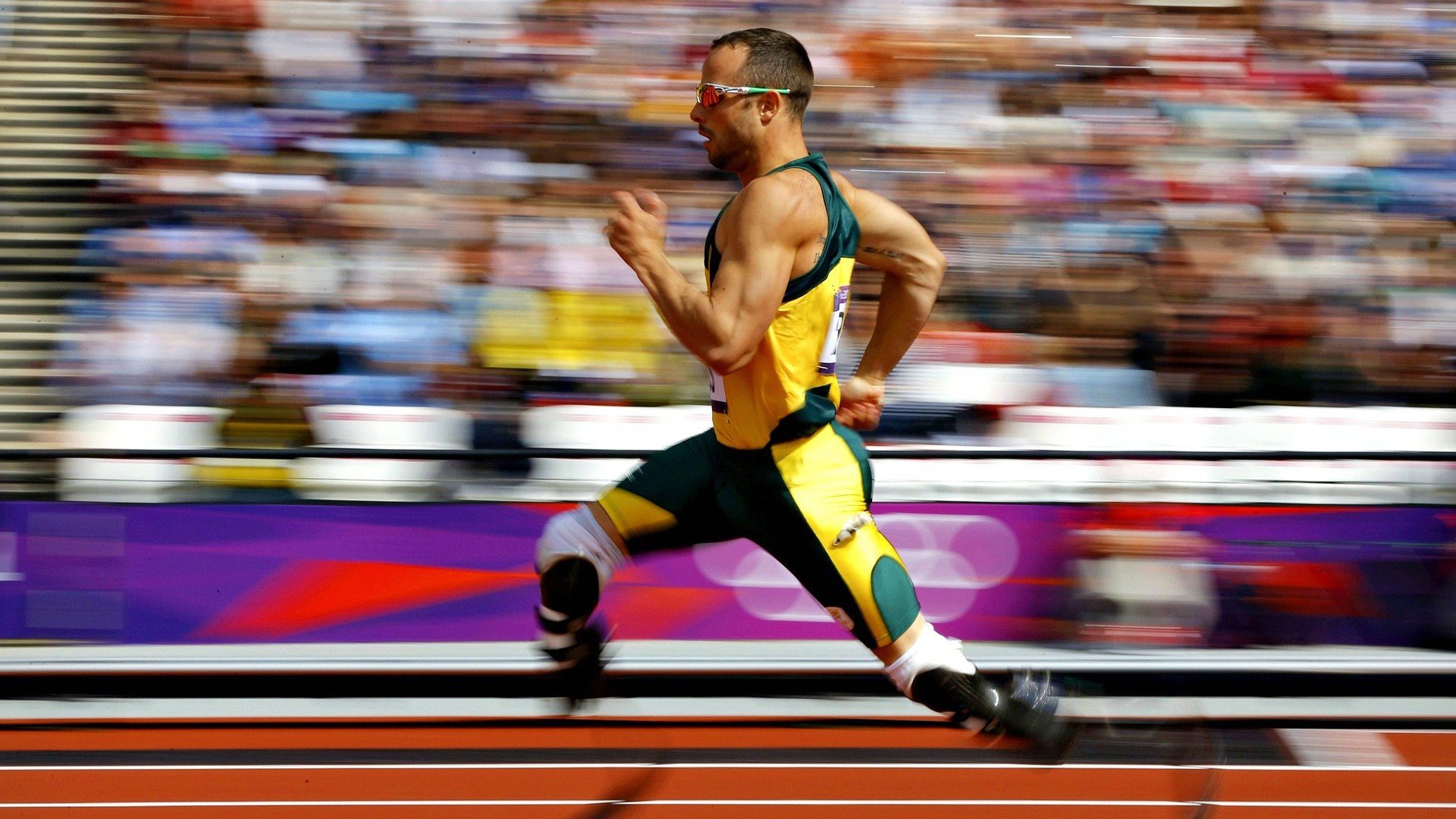 体育新闻中心完善运动员赛事信息采集系统，体育比赛新闻报道范文