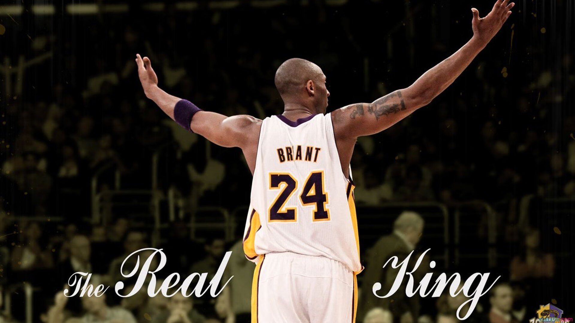 马来西亚男篮在东南亚预选赛中奋勇争胜，力争出线